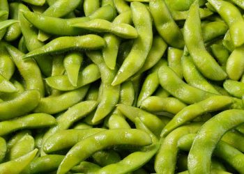 Hybrid Soybeans 101: Yield Promise, Breeding Science, Commercial Path