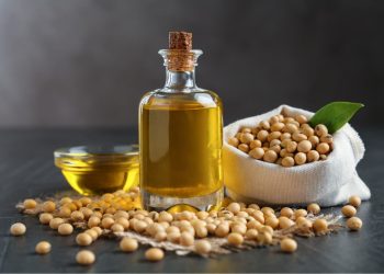 Stocks-to-Use Ratio: The Soy Metrics Every Buyer Should Monitor