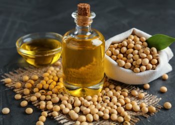 Crush Margins Explained: Tracking Soy Oil Value for Better Decisions