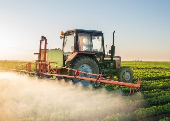 soybean export duties