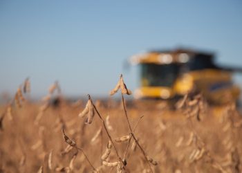 Soybean Quality Metrics Buyers Care About: Protein, Oil, and Heat Damage