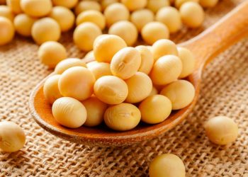 Non-GMO and Identity-Preserved Soybean: Sourcing, Segregation, and Costs