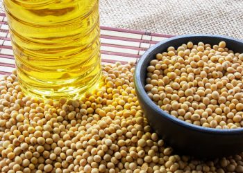 Who’s Who in U.S. Soy: ADM, Bunge, Cargill, LDC, CHS and the Rest