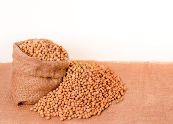Mississippi River vs. PNW: Choosing the Most Reliable Soy Export Route