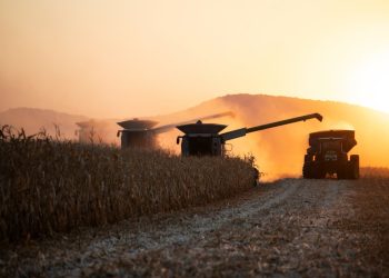 Glossary of Soy Markets: From Basis to SSAP—50 Terms You Must Know