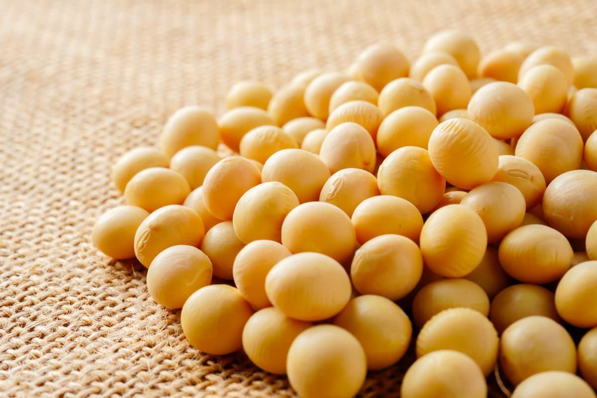 Sanitary/Phytosanitary Rules for Soybean: A Practical Compliance Guide