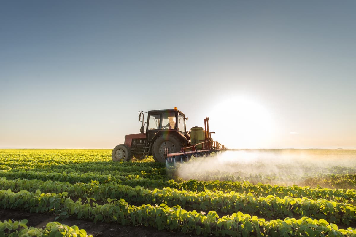Northward Shift of Soybean: Dakotas to Canadian Prairies—What’s Next?