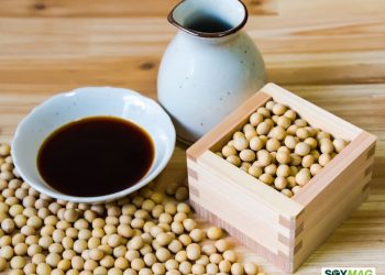 Trump Escalates Trade War with China, Reimposes Sweeping Tariffs