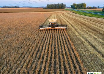Soybean Harvest in Indiana Faces Delays After Challenging Weather Season