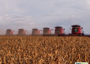 Soybeans Hold Weekly Gains Despite Pullback