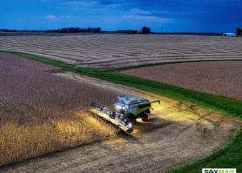 Early Frost Causes Fluctuating Soybean Yields in Northwest Minnesota