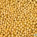 Soybeans Close Above $10 as Markets React to Trade Signals