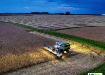 China’s Tariffs Leave U.S. Soybean Farmers Struggling Amid Export Shortfall