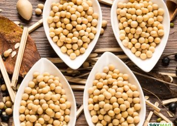 U.S.–China Soy Trade Resumes, but Global Balance Has Shifted