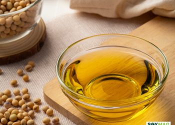 Seed Oils Reemerge as a Backbone of Modern Heart-Healthy Nutrition