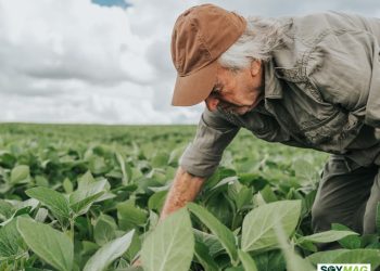 New Ag Climate Dashboard Gives U.S. Farmers Real-Time Tools for Weather and Crop Decisions