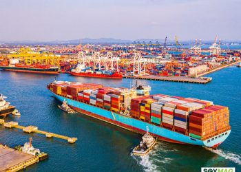 China Blocks Shipments from Five Brazilian Soy Exporters After Cargo Contamination Alert