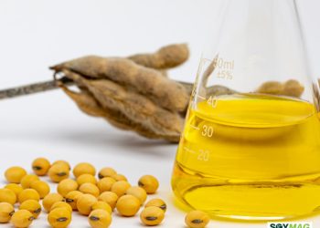 Soy-Based Lubricants Gain Traction as Sustainable, High-Performance Alternative to Petroleum