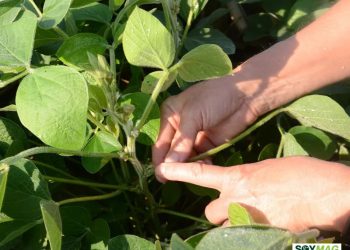 USDA Rolls Out Major Crop Insurance Reforms to Boost Farmer Access in 2026