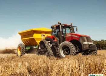 Soybean Futures Hold Steady as Markets Await Clarity on China Purchases