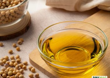U.S. Soybean Oil Stocks Surge as Crushing Slows, Fuel Policy Uncertainty Weighs on Market