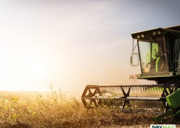 Soybean Prices Slide as China Buying Disappoints, but Seasonal Rally Hopes Linger